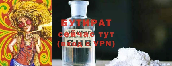 индика Сосновоборск