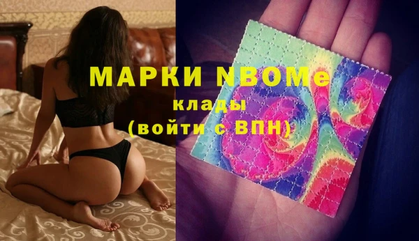 индика Сосновоборск