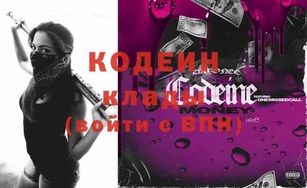 индика Сосновоборск