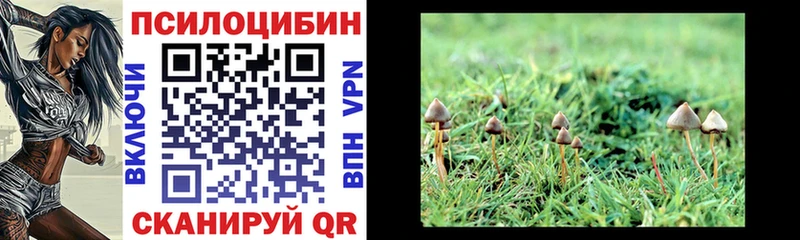 Псилоцибиновые грибы прущие грибы  купить наркотики цена  Снежинск 