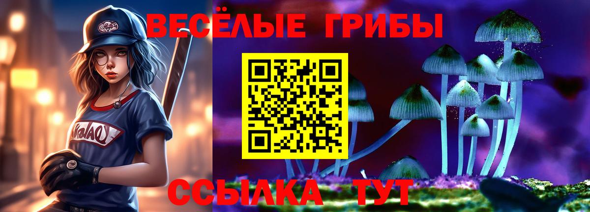 Псилоцибиновые грибы GOLDEN TEACHER Снежинск