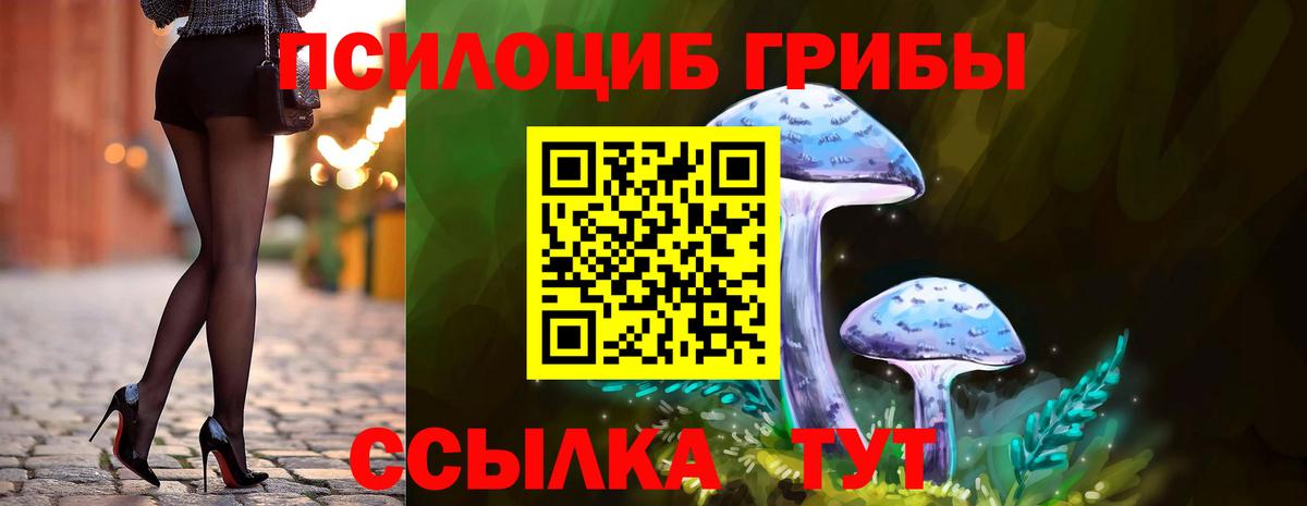 Снежинск  Галлюциногенные грибы ЛСД  Вход с VPN 